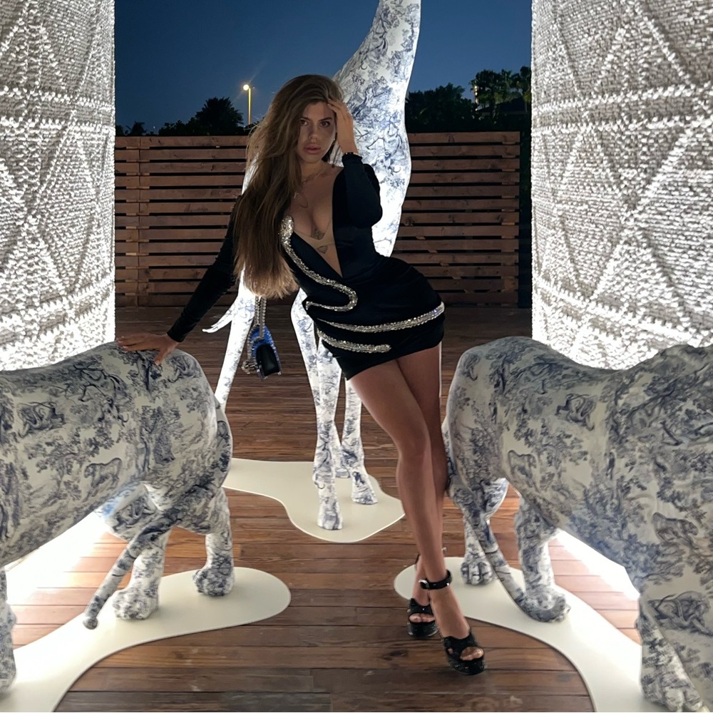 Killer Look – Crystal Snake Velour Dress (S)